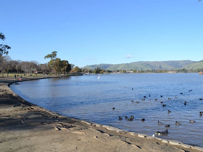 Lake Elizabeth Fremont