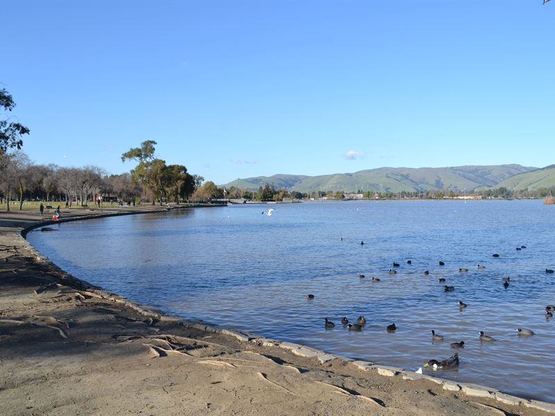 Lake Elizabeth Fremont