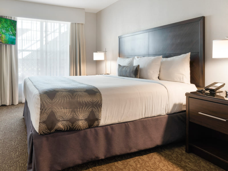 One Bedroom King Suite ADA at Chase Suite Hotel Newark Fremont at Newark, CA - 1